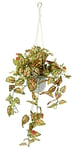 Flair Flower Fittonia Suspension Artificielle Philo avec Pot - Plante Artificielle - Guirlande de Plantes Vertes - Plante d'intérieur - Plante grimpante - Lierre Suspendu - Plante en Pot