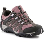 Chaussures Merrell  Accentor Sport Gtx Boulder J036642