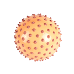 Edushape - Sensorisk boll, uppblåsbar - Creme, Ø18 cm