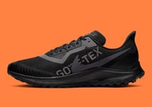 UK 10 EU 45 US 11~ Nike Zoom Pegasus 36 Trail GTX GORE-TEX ~ BV7762-001 Black