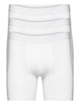 Bread & Boxers 3-Pack Boxer Brief Extra Long Vit