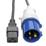 TRIPP LITE Eaton Tripp Lite Series IEC 309 to C19  Heavy-Duty Extension Cord - 16A  250V  16 AWG  10 ft. (3.05 m)  Black - strømkabel - IEC 60320 C19