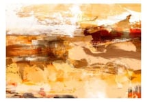 Papier peint intissé panoramique abstractions desert storm 200x140 cm