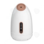 C Facial steamer vaporizer 200ml 17x17cm ansikts steamer nano Jonisk ansiktsbastu med dammskydd design ansikts steamer