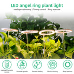 Lampes de culture pour plantes d'int&eacute;rieur, 3 t&ecirc;tes, 4,8 W, 34,5 lm, 60 LED, aliment&eacute;es par USB, minuterie 8H/12H/16H, 5 lampes de culture &agrave; luminosit&eacute; variable pour plantes succulentes, mini bonsa&iuml;, petites plantes