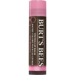 Burt's Bees Tinted Lip Balm Pink Blossom 4.25g