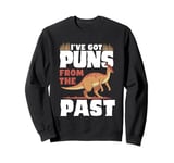 I've Got Puns From The Past Herbivore Paleontology Sweatshirt