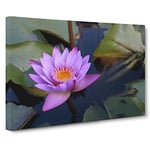 Pink Purple Flower Lotus No.1 Modern Canvas Wall Art Print Ready to Hang, Framed Picture for Living Room Bedroom Home Office Décor, 24x16 Inch (60x40 cm)