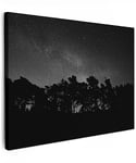 MuchoWow© Impression sur Toile Decoration Murale Peinture 40x30 cm Tableaux Decoratifs Muraux Décoration Chambre Ciel étoilé - Forêt - Ciel - Noir - Arbres