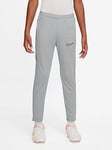 Nike Youth Academy 23 Dry Fit Pant - Silver, Silver, Size Xs