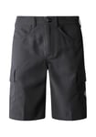 THE NORTH FACE Horizon Shorts Asphalt Grey 36