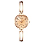 Basfur Dress Watch Fe-Montre-030-01