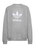 Adidas Originals Adicolor Classics Trefoil Crewneck Sweatshirt Grå