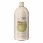 Shampoo Mise sous Tension ALTEREGO Scalpego Energizing 950ml