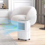 12L/Day Small Dehumidifier with Continuous Drainage, Filter, Humidity Light