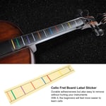 Practical Fret Board Label Sticker Finger Position Mfor Celctice Beginners(1