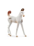 Schleich Horse Club Marwari Foal