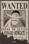 One Piece Poster Ricercato "Wanted Edward Newgate" 52 x 35 cm AbyStyle