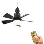 Ranipobo - Ventilateurs de plafond avec lumières et télécommande, ventilateur de plafond dimmable, 5 lames, 3 température de couleur, 3 vitesses,