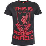 Liverpool FC Mens This Is Anfield T-Shirt - M