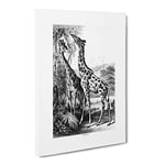 Two Giraffes By John Karst Vintage Canvas Wall Art Print Ready to Hang, Framed Picture for Living Room Bedroom Home Office Décor, 20x14 Inch (50x35 cm)