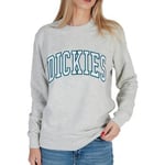 Sweat-shirt Dickies  AITKIN SWEATSHIRT