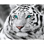 N/C Aint By Numbers Kits Acrylic Paints Set Diy Canvas Oil Painting Gift Kits Home Decoration- Blue Eyed Tiger 16*20 Inch