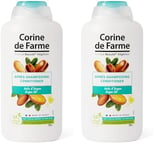 Après Shampooing Soin à l'Huile d'Argan (Lot de 2)