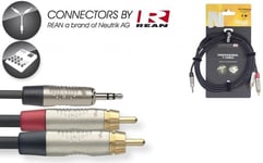 Stagg REAN 3,5 mm liitin AUX TRS - 2 x RCA, 6 m