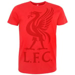 Liverpool FC Mens Liver Bird T-Shirt - XXL