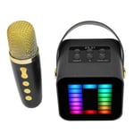 Mini karaokekonesarja RGB Pickup Light Digital Processing Chip Handheld Kannettava Bluetooth-kaiutin mikrofonilla Musta