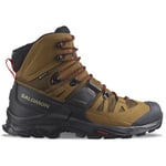 Baskets Salomon  Quest 4 Gtx