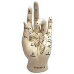 Nemesis Now Palmistry Chriomancy Fortune Telling Hand Figurine, Polyresin, White,17.7cm