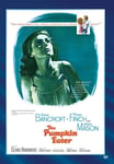 Pumpkin Eater DVD