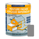 Peinture façade Procom crépi, façade à relief, imperméabilisation et protection des façades - Durable jusqu'à 10 ans Gris (ral 7001) 2.5 litres