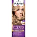 Schwarzkopf Palette Intensive Color Creme voidemainen hiusväri, BW12 Ultra tuhkanvaalea