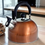 Whistling Stovetop Kettle Copper Stainless Steel Gas Electric Induction Hob 2.5L