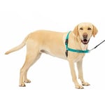 PetSafe Easy Walk No-Pull Dog Harness - The Ultimate Harness to Help Stop Pulling - Take Control & Teach Better Leash Manners - Helps Prevent Pets Pulling on Walks, Large, Teal/Gray