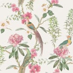 Arthouse Exotic Garden Birds Pink & Green Wallpaper 924907