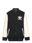 Vrct Jacket Black Adidas Originals