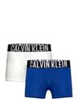 2Pk Trunk Night & Underwear Underwear Underpants Multi/patterned Calvin Klein