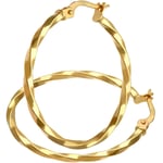 9ct Yellow Gold Hoop Earrings 2.5cm Diameter Twist Design by Citerna