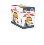 Royal Canin Intense Beauty Jelly