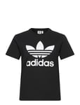 Adicolor Classics Trefoil T-Shirt Tops T-shirts & Tops Short-sleeved Black Adidas Originals