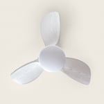 Efectoled - Ventilateur de Plafond Silencieux Poros 35W 76cm Motor dc Avec lumière Contrôleur mural + télécommande Bois blanc Bois blanc Non