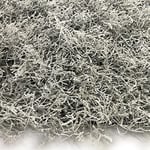 Tenax Divy 3D Panel Lapponia 0,50 x 1 m Gris, Panneau Modulaire en Feuilles de Lichen d'hiver pour Décoration Murale, Jardin Vertical et Décorations de Noël