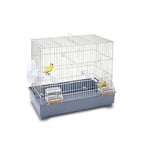 Imac 5 – 07208 Cage pour Oiseaux Cova 42,58 x 31 x 40 cm Chromé et Bleu