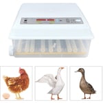 Incubateur Oeufs Couveuses Automatique Retournement Automatique, Contrôle De La Température Réglable avec led Lumière D'oeuf Intégré pour Poulet,