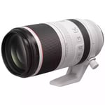 Canon RF 100-500mm f/4.5-7.1 L IS USM Lens