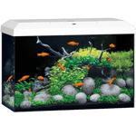 Akvarium Primo 70 Hvit 2.0 61x31x44 cm 70L - Fisk - Akvarier - Juwel